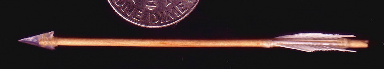 Dan’s Miniature Arrow One of Dan’s microscopic arrowheads is attached to a miniature arrow.
