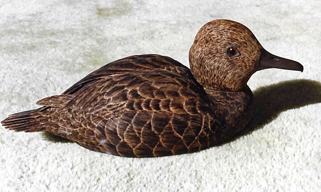 Bufflehead Hen This Bufflehead hen was carved out of butternut.
