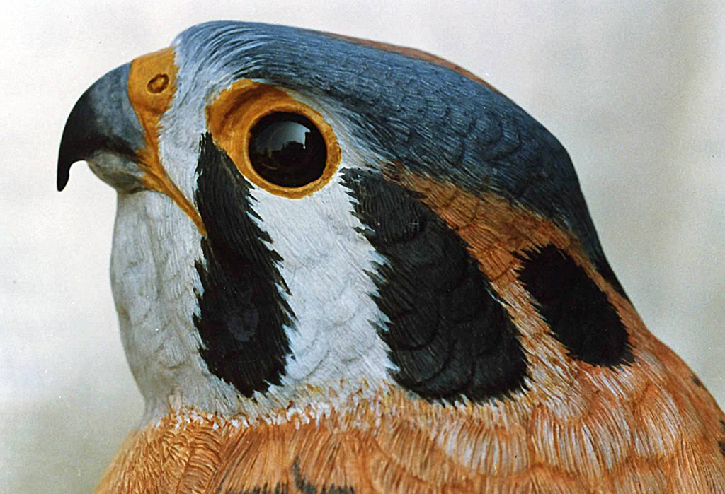 American Kestrel A close-up detail of Sheridan’s carved American Kestrel.